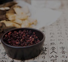 한약/식이요법